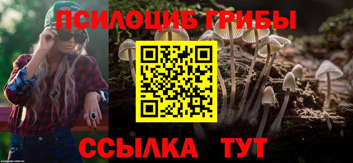 Аша  купить закладку  Псилоцибиновые грибы Psilocybe  Вход с VPN  Галлюциногенные грибы Cubensis 
