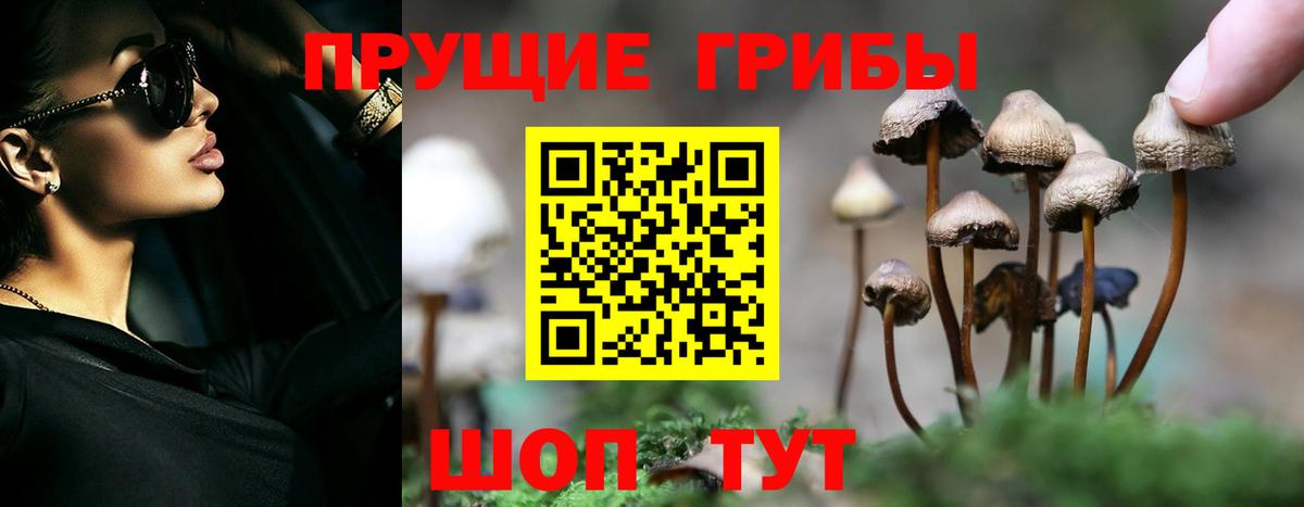 Псилоцибиновые грибы Psilocybe Аша